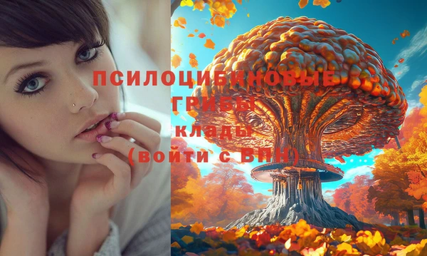 COCAINE Армянск