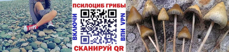 Псилоцибиновые грибы прущие грибы kraken зеркало Ельня